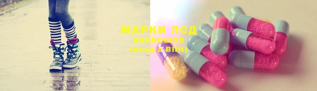стафф Беломорск
